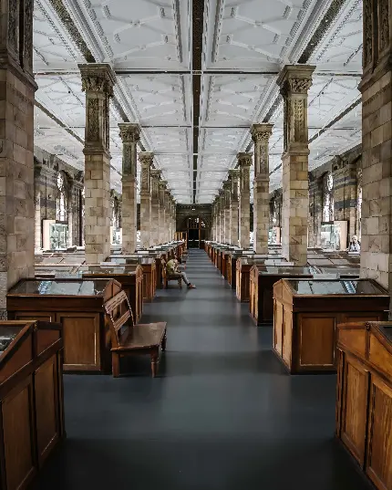 خرید تابلو عکس مرد جوان در گالری مواد معدنی برای اتاق