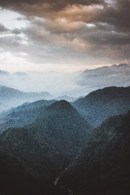 تابلو شاسی طرح جنگل و کوهستان با درختان سرسبز برای اتاق