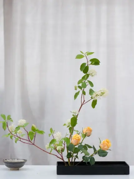 قاب مبایل ایکه بانا برای سامسونگ با چاپ با کیفیت و قیمت ارزان