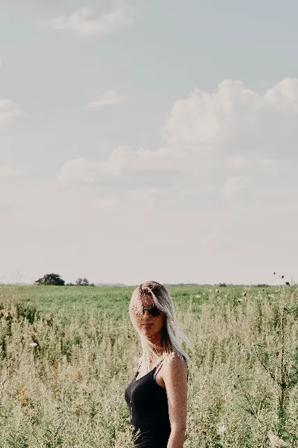 خرید تابلو دیواری روز خورشید بیرون کشاورزی با بهترین قیمت برای پذیرایی