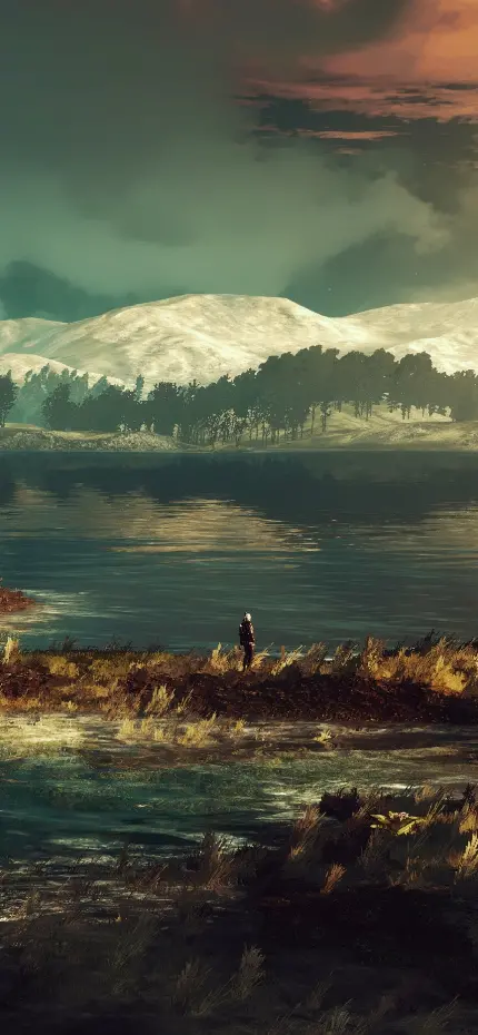 سفارش شاسی عکس بازی The Witcher 3 Wild Hunt با کیفیت بالا