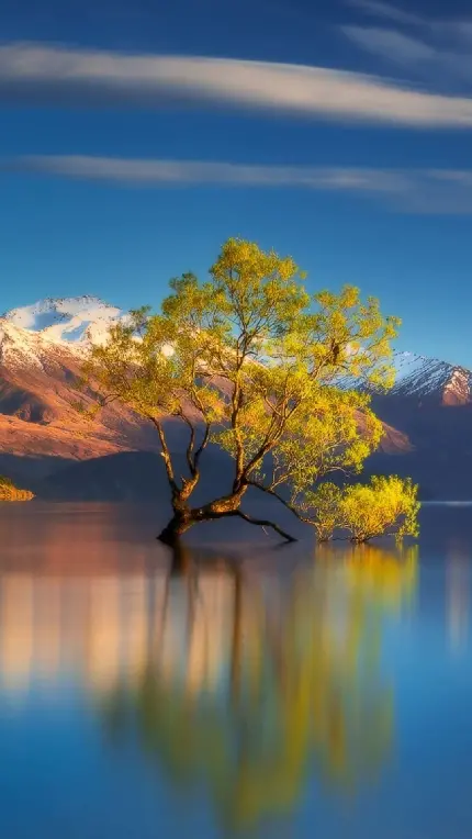 قاب-مبایل-دریاچه-آیفون-چاپ-کیفیت-قیمت-مناسب