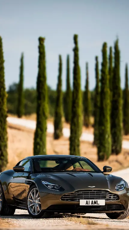 تابلو دکوراتیو Aston Martin DB11 با چاپ حرفه ای برای اتاق