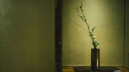 چاپ تابلو شاسی ایکه بانا با کیفیت بالا برای اتاق با قیمت ارزان