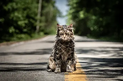 سفارش پوستر دیواری فیلم Pet Sematary با قیمت مناسب