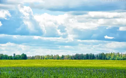 سفارش پوستر دیواری طبیعت و منظره برای اتاق خواب