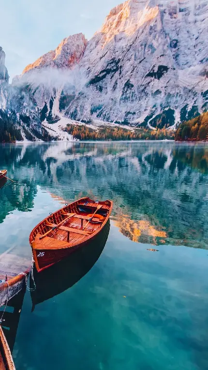 قاب مبایل سامسونگ منظره جنگلی برای خرید تابلو و پوستر با قیمت ارزان