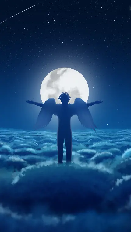 تابلو شاسی Angel برای دکوراسیون اتاق با قیمت ارزان