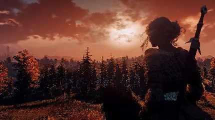 خرید تخته شاسی The Witcher 3 با طرح Ciri برای اتاق خواب
