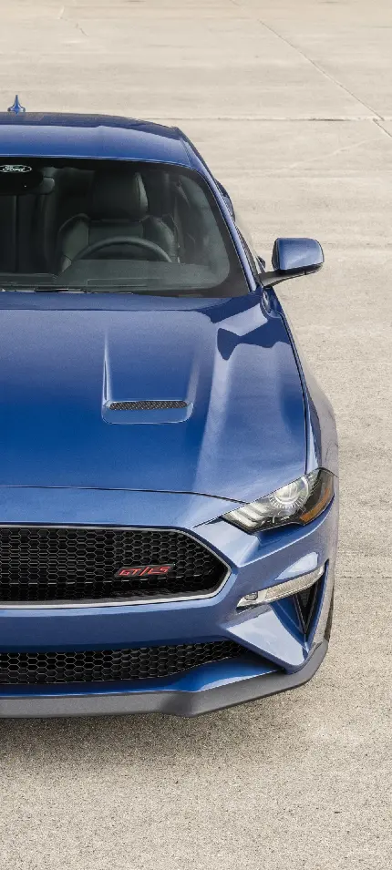 پوستر دیواری Ford Mustang GT با قیمت ارزان برای اتاق