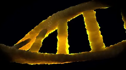 سفارش تابلو دیجیتال DNA با بهترین قیمت برای پذیرایی