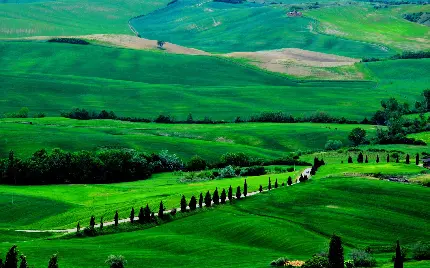 خرید تابلو منظره با کیفیت بالا برای پذیرایی