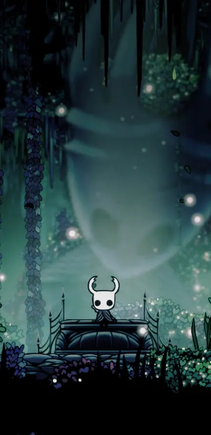 چاپ شاسی عکس بازی Hollow Knight با کیفیت بالا
