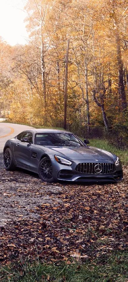 تابلو شاسی Mercedes AMG GT با چاپ با کیفیت برای اتاق