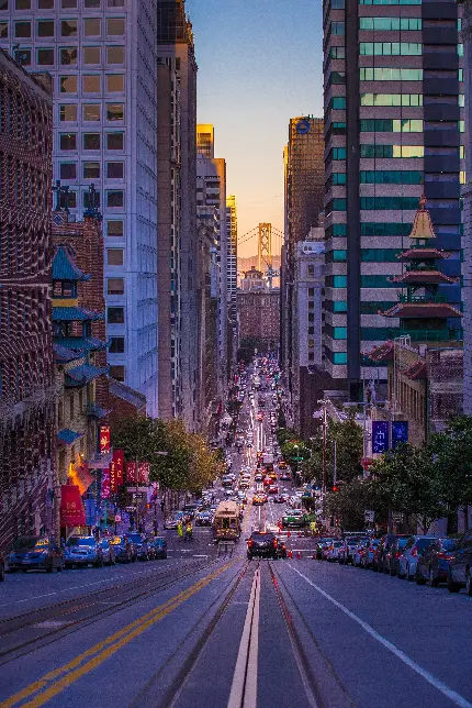 سفارش پوستر دیواری خیابان شیبدار سانفرانسیسکو با کیفیت بالا