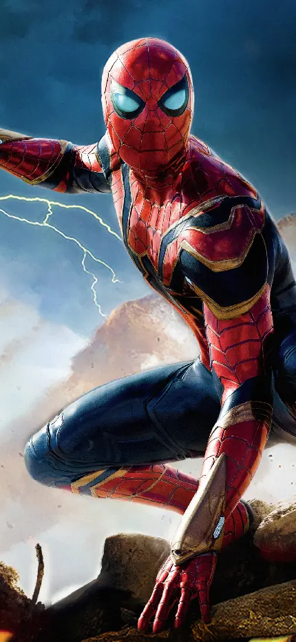 خرید تابلو شاسی فیلم Spider-Man No Way Home با قیمت مناسب