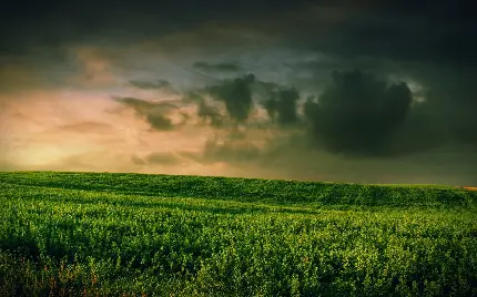 چاپ پوستر عکس زمینه دسکتاپ چمن و آسمان با کیفیت اچ دی و دانلود آسان