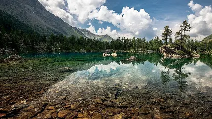 سفارش-تخته-شاسی-دریاچه-کیفیت-عالی-اتاق