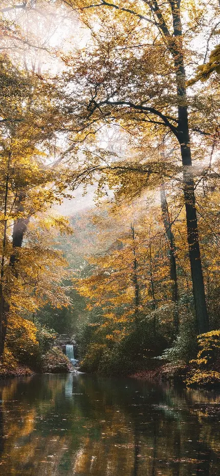 چاپ پوستر بک‌گراند منظره با کیفیت اچ دی برای گوشی سامسونگ 1080x2340