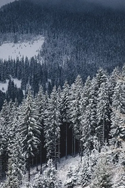 سفارش شاسی عکس برف و کوه با بهترین کیفیت