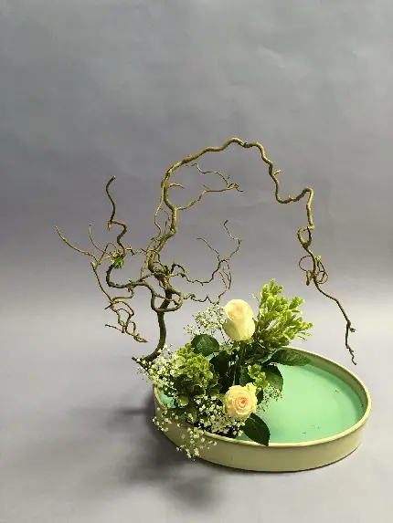 قاب مبایل ایکه بانا برای آیفون با چاپ شخصی و کیفیت بالا