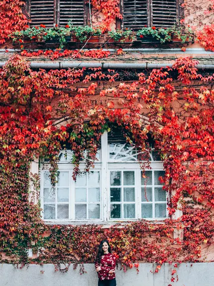 خرید تابلو دکوراتیو تابستان به پاییز فرو ریخت با ارزانترین قیمت برای اتاق خواب