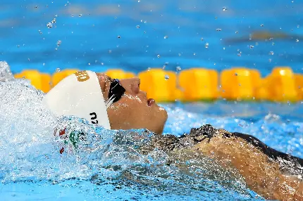 چاپ پوستر والپیپر حرفه ای کرال پشت برای نمایشگرها