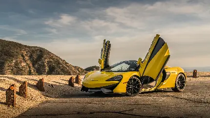 سفارش تابلو مک لارن نقره ای با طراحی خاص برای منزل