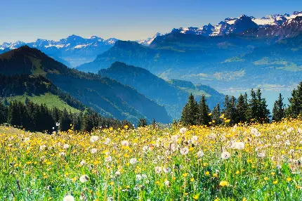 خرید تابلو دیجیتال کوهستان سوئیس با ارزانترین قیمت
