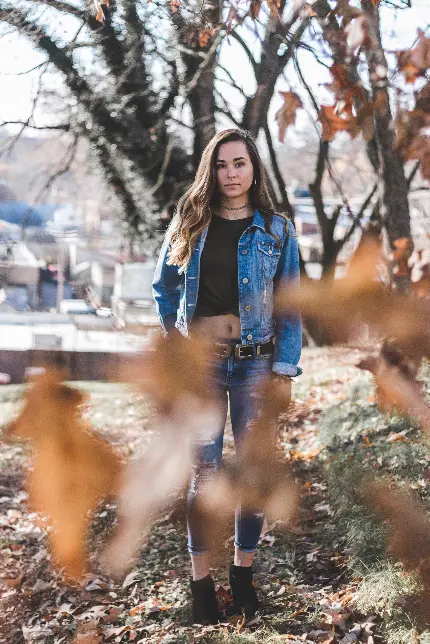 سفارش چاپ شاسی عکس فقط پیادهروی در پارک با کیفیت بالا برای منزل