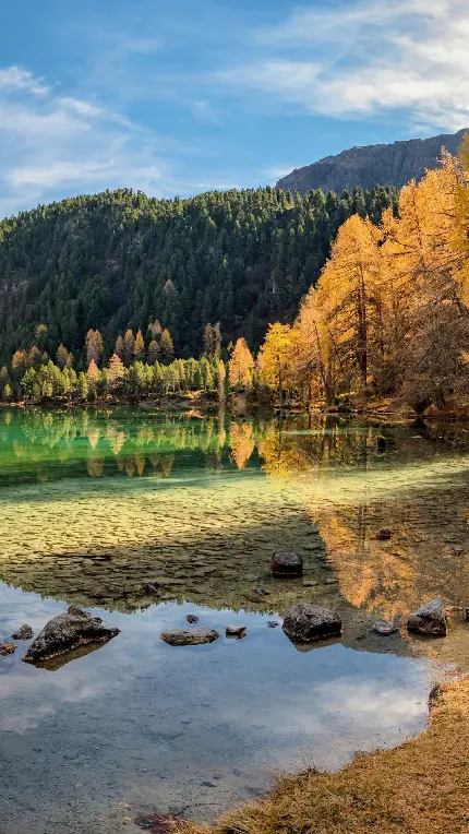 قاب-مبایل-دریاچه-آیفون-چاپ-کیفیت-قیمت-ارزان