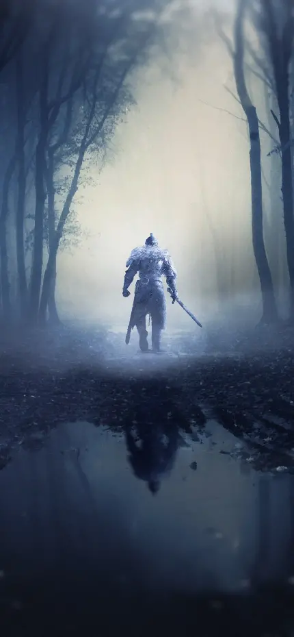 پوستر دیواری بازی Dark Souls با چاپ با کیفیت بالا