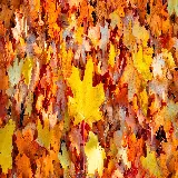 چاپ قاب موبایل و گوشی تصویر زمینه دو مانیتور برگ افرا با کیفیت عالی برای طراحی و چاپ