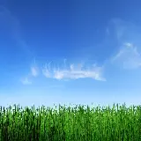 چاپ قاب موبایل و گوشی تصویر پس زمینه چمن و آسمان با کیفیت فول اچ دی برای دانلود رایگان