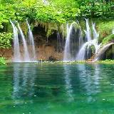 چاپ قاب موبایل و گوشی قاب مبایل جنگل برای موبایل با چاپ شخصی و بهترین قیمت