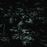 چاپ قاب موبایل و گوشی چاپ تابلو گیاه راش و فضای سبز تیره و خاص