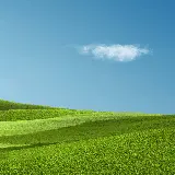 چاپ قاب موبایل و گوشی والپیپر سامسونگ چمن و آسمان با کیفیت اچ دی و دانلود رایگان