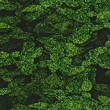 عکس‌های برگ طبیعی برای چاپ تابلو و پوستر دیواری و قاب موبایل