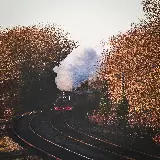 چاپ قاب موبایل و گوشی خرید تخته شاسی گم شده در جنگل با بهترین قیمت برای منزل