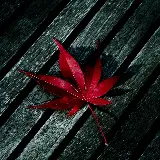 چاپ قاب موبایل و گوشی عکس برگ موبایل اچ دی با ابعاد مربعی 2048x2048