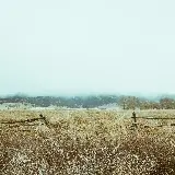 چاپ قاب موبایل و گوشی چاپ شاسی منظره طبیعت آن سوی حصار با کیفیت بالا