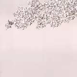 چاپ قاب موبایل و گوشی خرید تابلو دکوراتیو بزرگ از گل ماگنولیا با چاپ با کیفیت