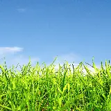 چاپ قاب موبایل و گوشی عکس زمینه موبایل چمن و آسمان با کیفیت اچ دی و دانلود رایگان