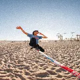 چاپ قاب موبایل و گوشی خرید تابلو دیواری شن غروب نخل درخت فیشآی با بهترین قیمت برای پذیرایی