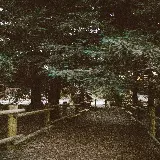 خرید تابلو کمپینگ و طبیعت با کیفیت بالا برای پذیرایی