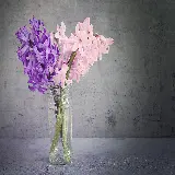 خرید پوستر دیواری سنبل با چاپ با کیفیت و قیمت مناسب