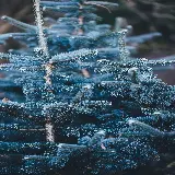 چاپ قاب موبایل و گوشی خرید تابلو دکوراتیو شاخههای سوزنی درخت صنوبر شاخههای صنوبر با کیفیت بالا برای اتاق خواب