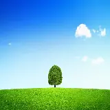 چاپ قاب موبایل و گوشی تصویر پس زمینه دسکتاپ چمن و آسمان با کیفیت فول اچ دی