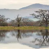 چاپ قاب موبایل و گوشی قاب-مبایل-دریاچه-موبایل-چاپ-شخصی-بهترین-قیمت