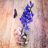 چاپ قاب موبایل و گوشی سفارش شاسی عکس سنبل با بهترین قیمت و کیفیت بالا